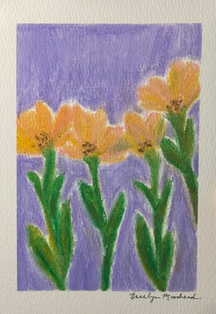 Day 66